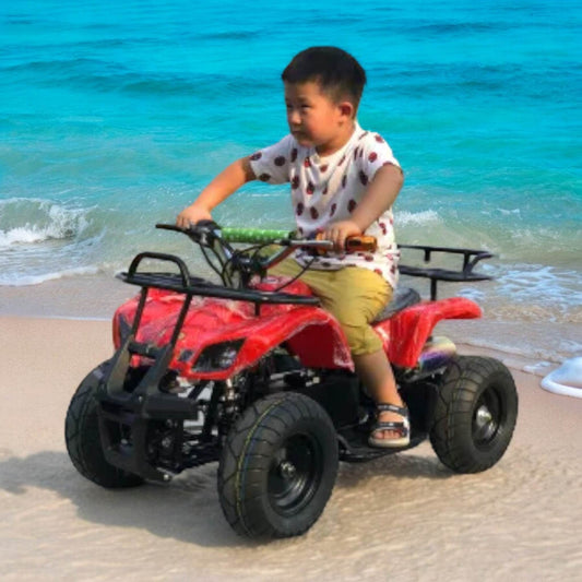 PATOYS | 36V/500W, Pocket Quad Electric Kids Automatic (F-N-R), Children's ATV Quad Bike - PATOYS