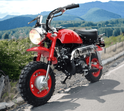 PATOYS | 110cc 4 Stroke Petrol Monkey dirt Bike bullet motorcycle for kids - PATOYS
