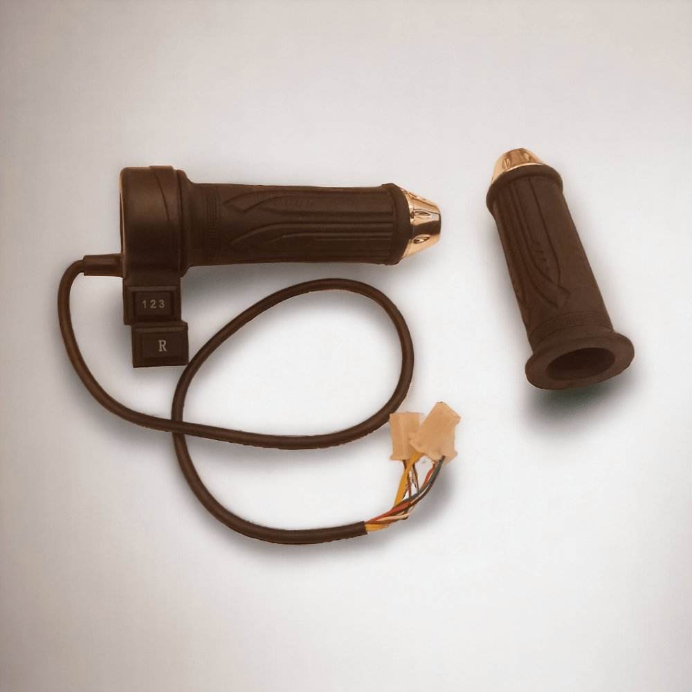 PATOYS Throttle Accelerator Race for Electric vehicle Electric