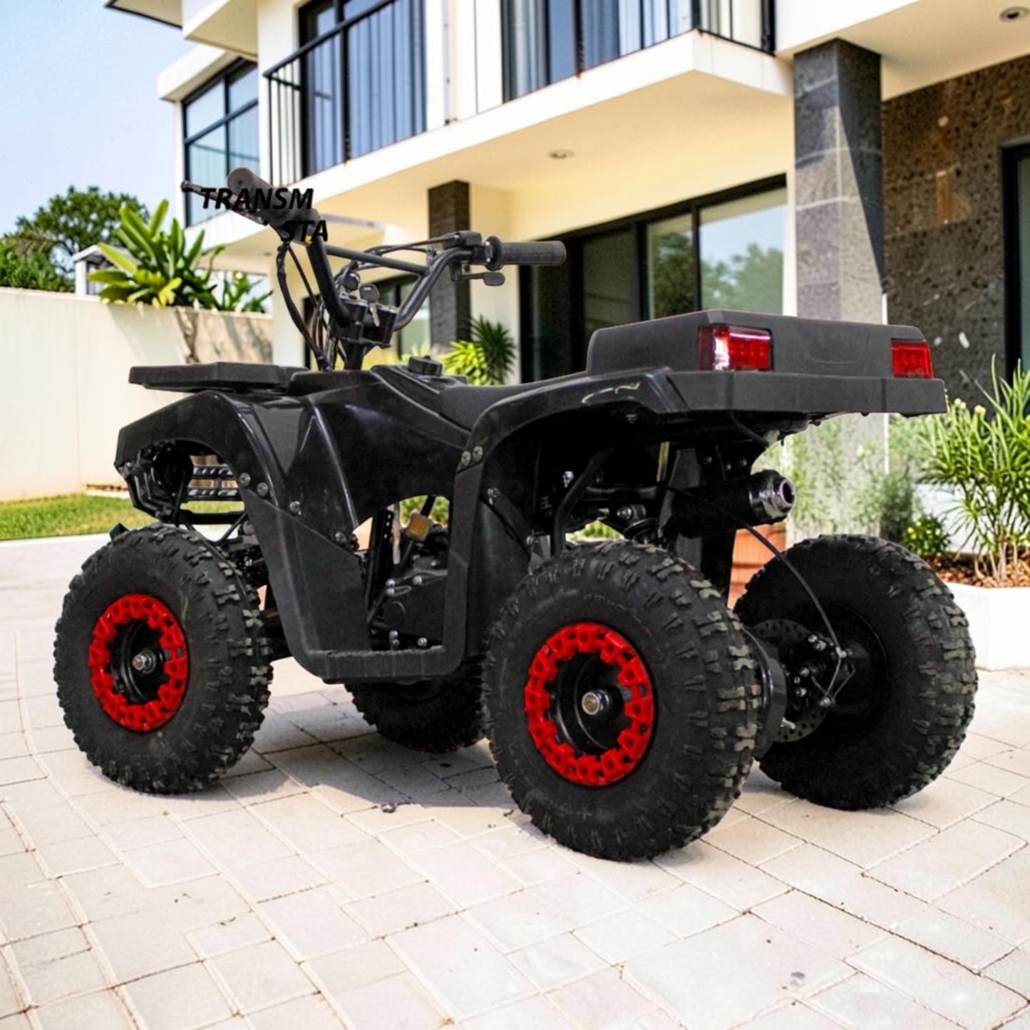 PATOYS | 50CC Mini Mouzer ATV | 2-Stroke Petrol | 45km/h | Kids & Beginners | Black - PATOYS