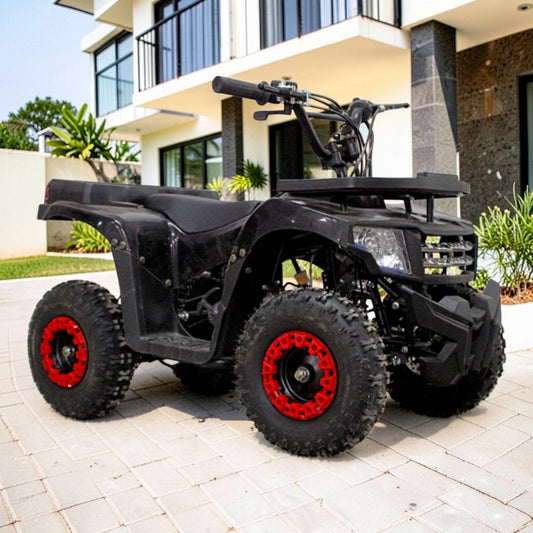 PATOYS | 50CC Mini Mouzer ATV | 2-Stroke Petrol | 45km/h | Kids & Beginners | Black - PATOYS