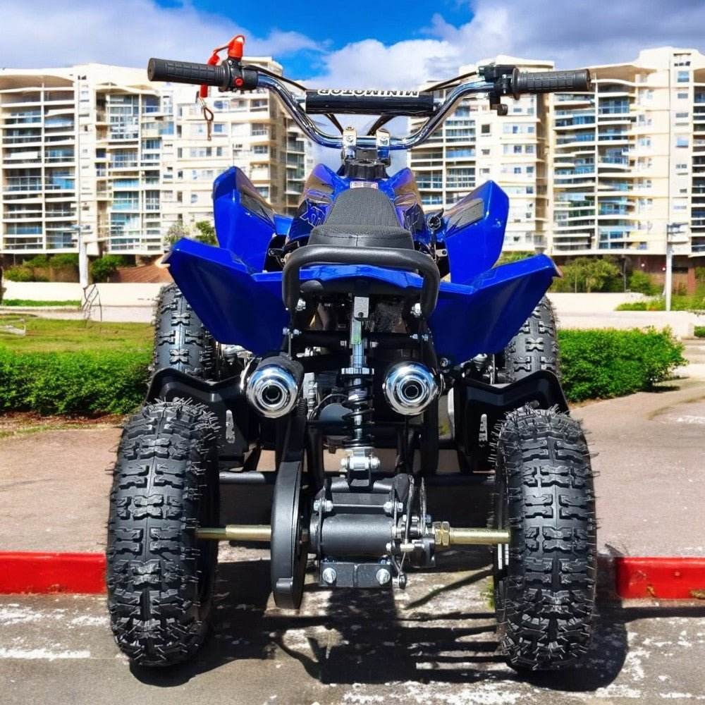 PATOYS | 50cc Mini Viper ATV | 2-Stroke Petrol Engine | Self Start ...