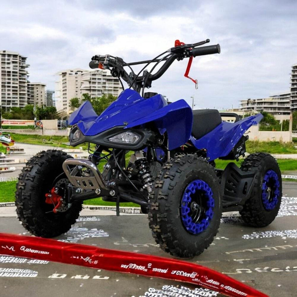 PATOYS | 50cc Mini Viper ATV | 2-Stroke Petrol Engine | Self Start ...