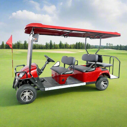 PATOYS Neo Medley Golf Cart 2+4 seater with Power steering 60v